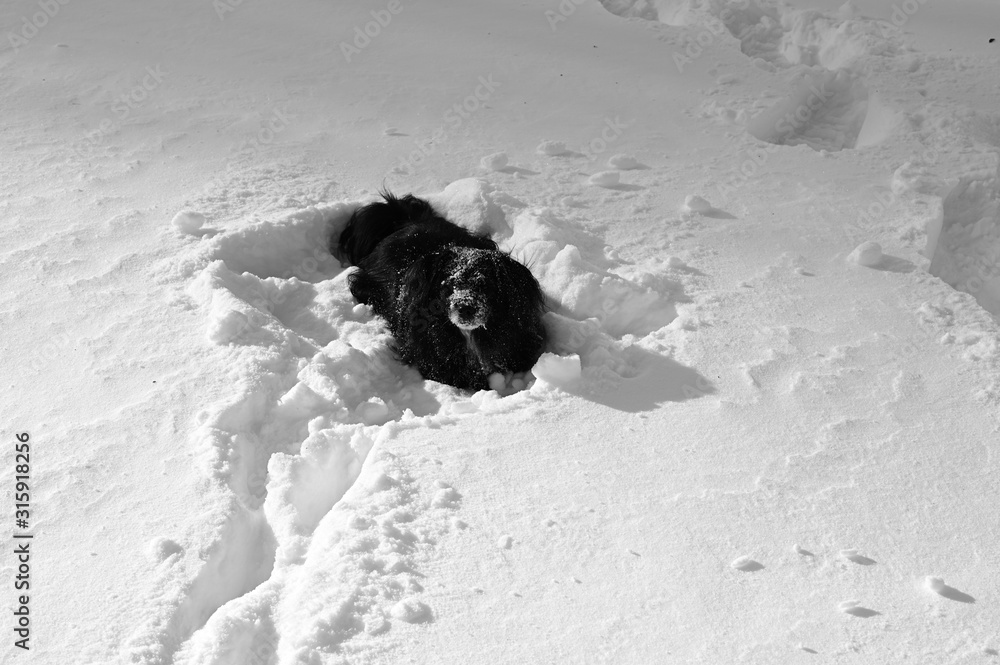 Austrian winter landscapes in black and white Austrian winter landscapes in black and white