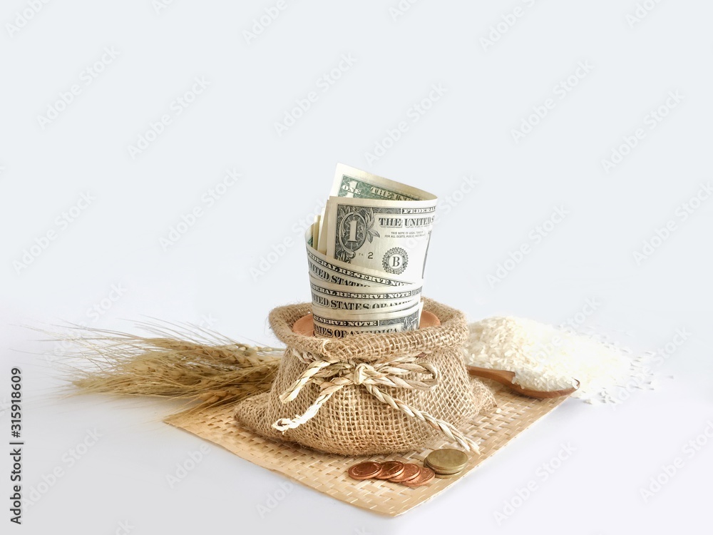 Money in vintage container with paddy rice and jasmine raw rice on the  background. Money and agriculture concept. Stock Photo