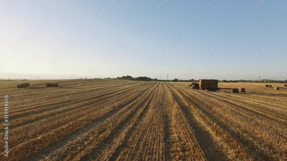 Farming Tractor with Forklift Picking Up Dry Hay in a Large Field Farming Tractor with Forklift Picking Up Dry Hay in a Large Field