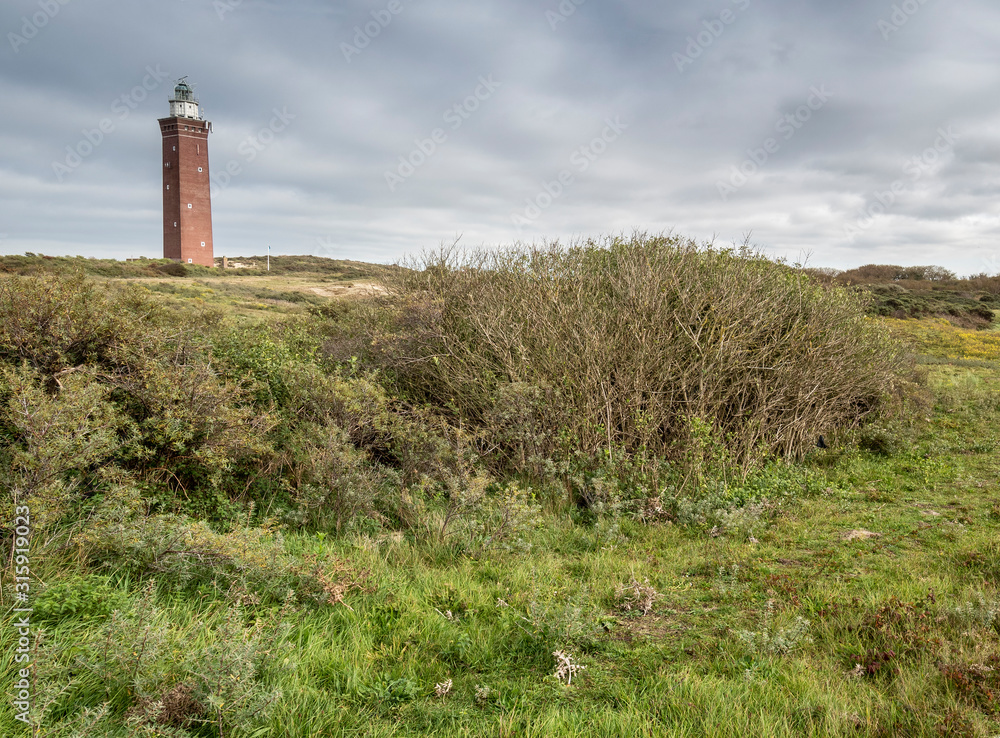 Landscape with lighthouse in dune landscape in Zeeland