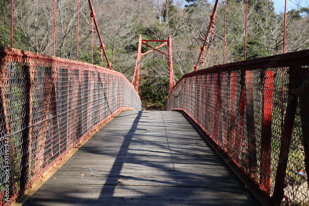 Obraz premium 観音山公園 吊り橋