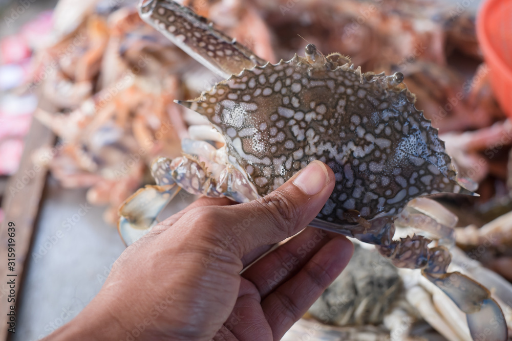Fototapeta premium Man holding fresh crab in the msrket