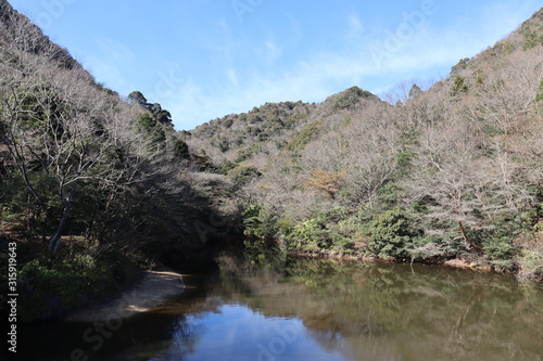 観音山公園 三重県 風景