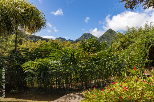 Fort de France, Martinique, FWI - View to the Carbet Pitons from Balata gardens