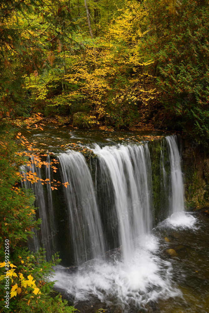Obraz premium Hoggs Falls on the Boyne River in Grey County Ontario with yellow Fall color