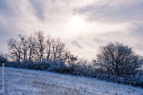 Landscape in winter in Burgenland