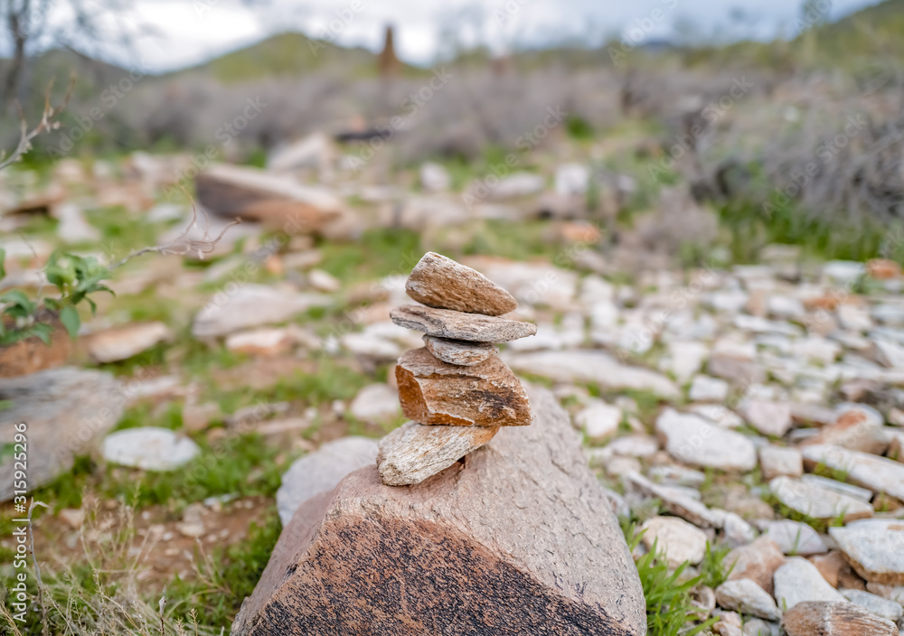 Arizona desert landscape rocks and cactus Arizona desert landscape rocks and cactus