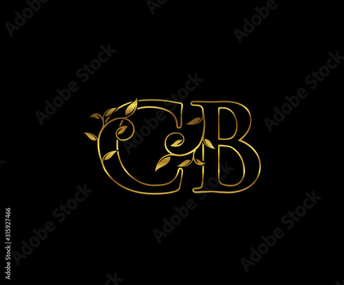 Golden C, B and CB Luxury Letter Logo Icon 