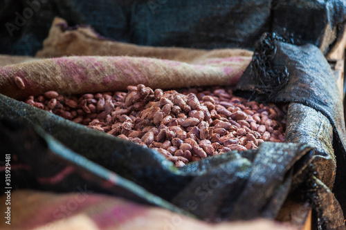 Ripe cocoa seeds, fermentation, processing, chocolate production. Selective focus