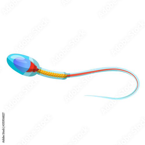Sperm cell anatomy educational flat vector illustrations