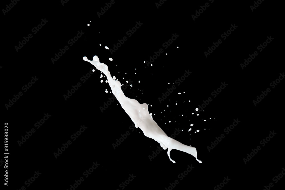 fresh white milk splash isolated on black fresh white milk splash isolated on black