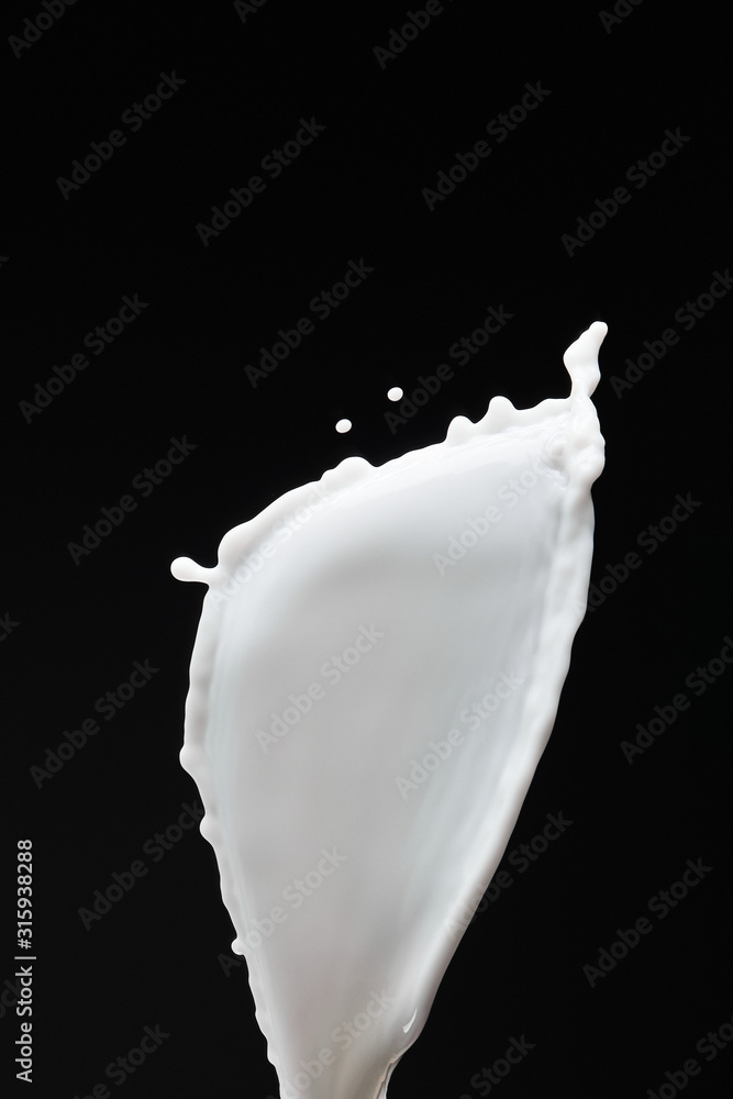 fresh white milk splash with drops isolated on black fresh white milk splash with drops isolated on black