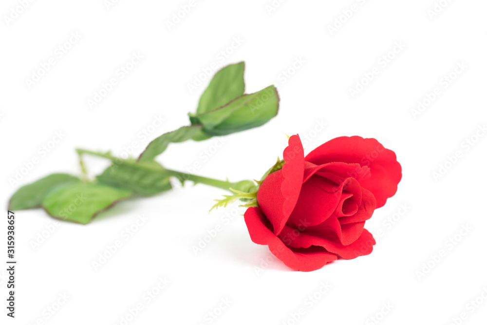 Red rose made of paper on the background Red rose made of paper on the background