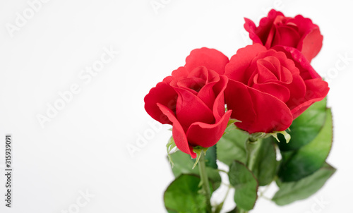 Red rose made of paper on the background