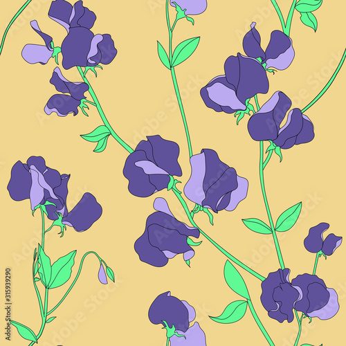 Vector seamless pattern with hand drawing sweat pea flower, colorful botanical illustration, floral elements, hand drawn repeatable background. Artistic backdrop.