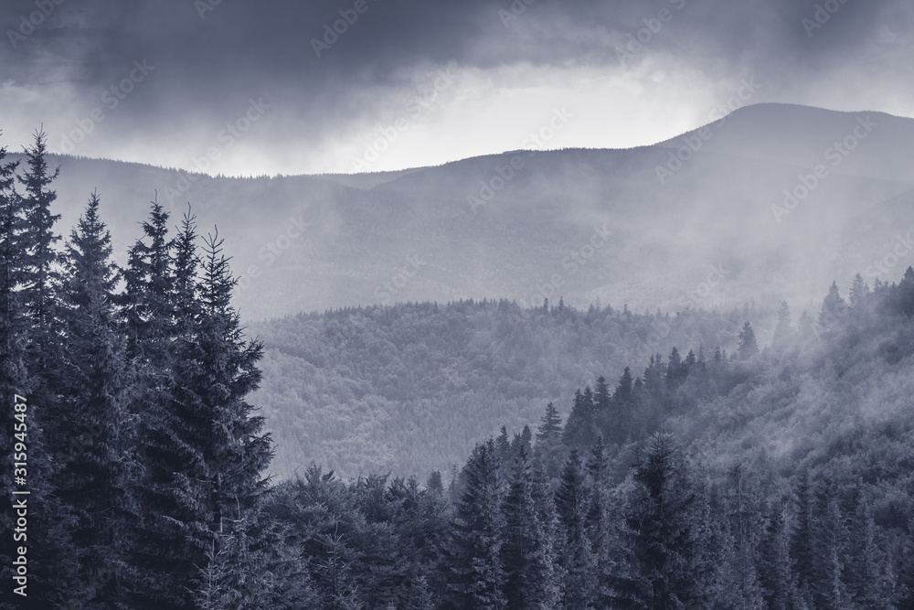 Fototapeta premium Mountain landscape with thick fog in mountains, black and white image_