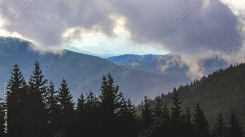 Thick cloud on top of mountain. Landscape with trees in mountains_