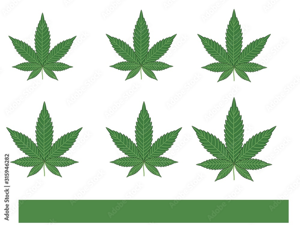 cannabis leaf on green background