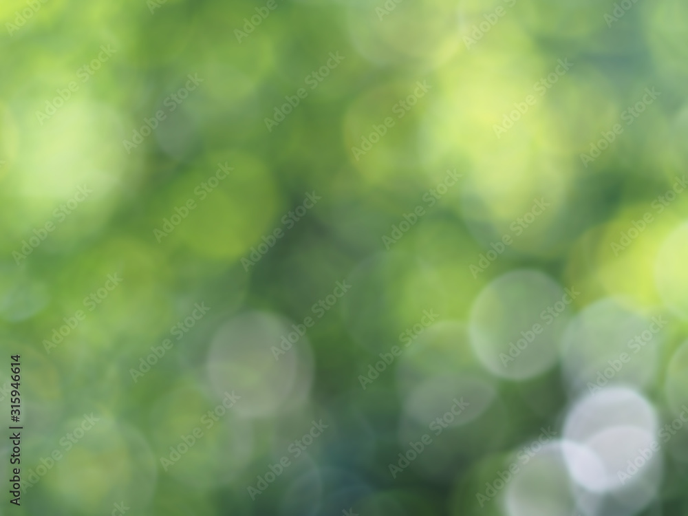 Green light bokeh nature background. Natural background. Abstract blurred background. Green light bokeh nature background. Natural background. Abstract blurred background.