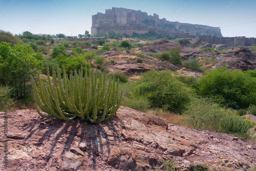 View of Rao Jodha desert rock park, Rajasthan, India View of Rao Jodha desert rock park, Rajasthan, India