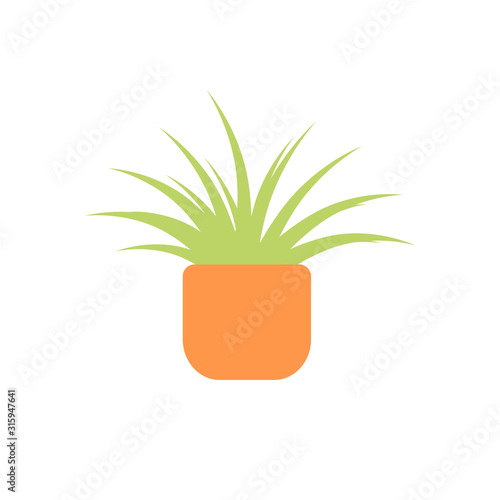 Vector green plant or fern in orange pot. ornamental houseplant design