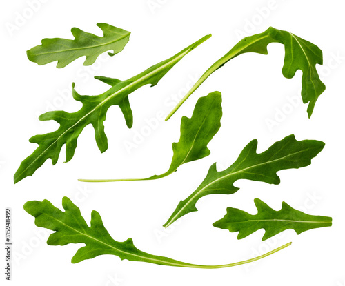 Arugula leaves on a white background, top view