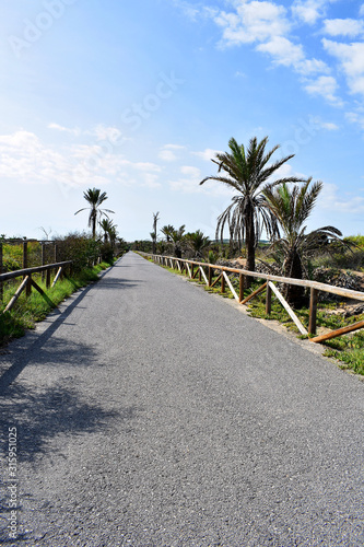 Alfonso XIII Park in Guardamar del Segura  Alicante. Spain. Europe. September 23  2019