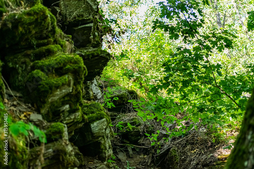 Zaitsev rocks in the Rostov region in Krasnosulinsky district, stone natural structures of large size, green and damp mosses among the vegetation, unusual species for walking.