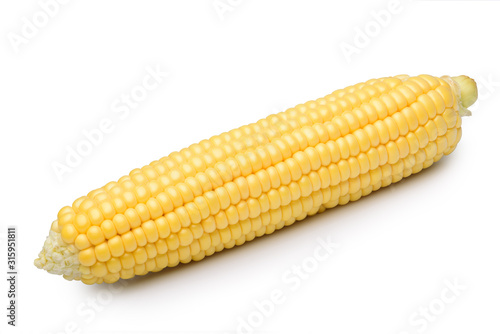 parts of corn with highlights isolate on white, with clipping path