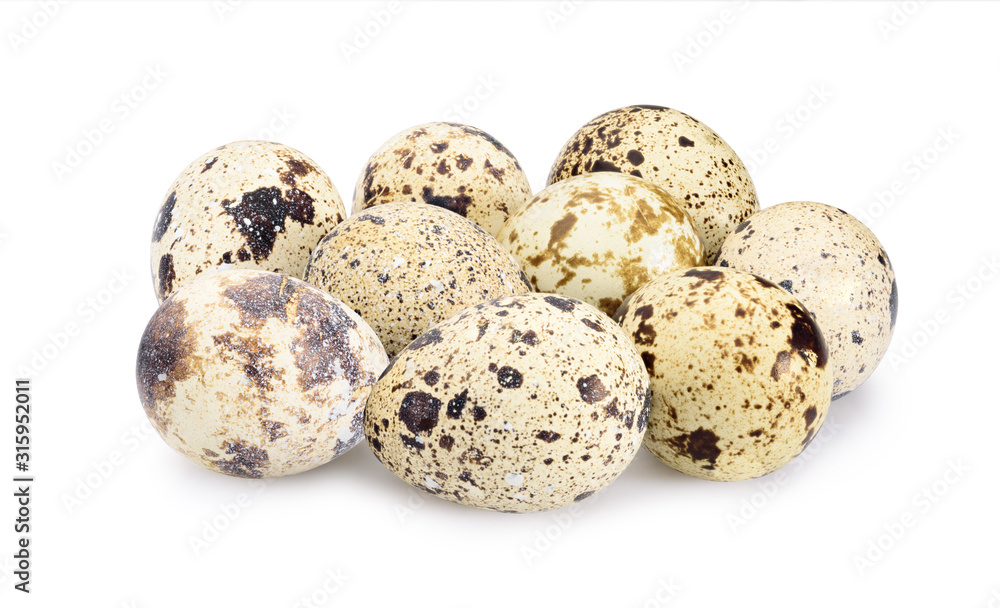 quail eggs isolate on white. Entire image in sharpness. Clipping path.