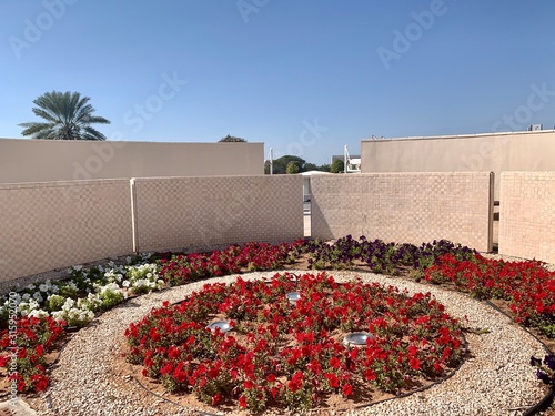 The Beautiful Petunia flowers garden at Sheikh Zayed Grand Mosque Abu Dhabi  photo