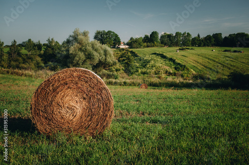 hay rollers. grass. field harvesting
