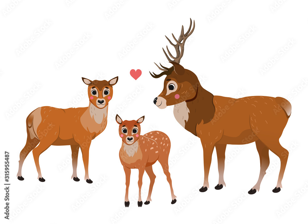 Cute cartoon deer family vector image. Male deer and female doe with little fawn. Forest animals for kids. Isolated on white background