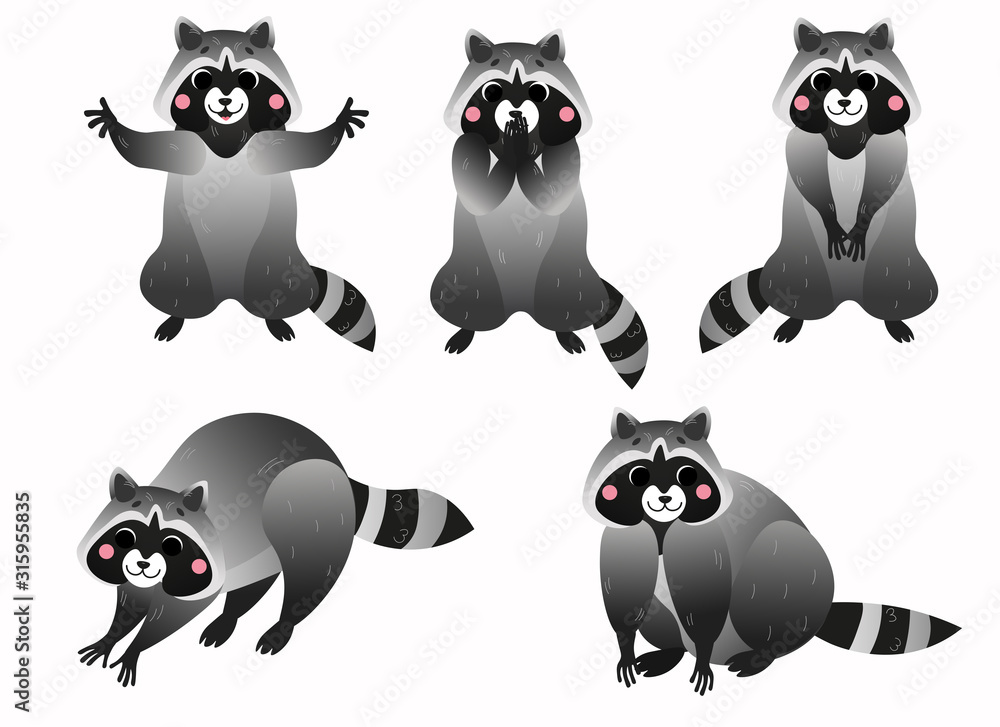 Cute cartoon raccoon vector set. Raccoon in different postures. Standing raccoon, hugs, washing and sitting raccoon. Forest animals for kids. Isolated on white background Cute cartoon raccoon vector set. Raccoon in different postures. Standing raccoon, hugs, washing and sitting raccoon. Forest animals for kids. Isolated on white background