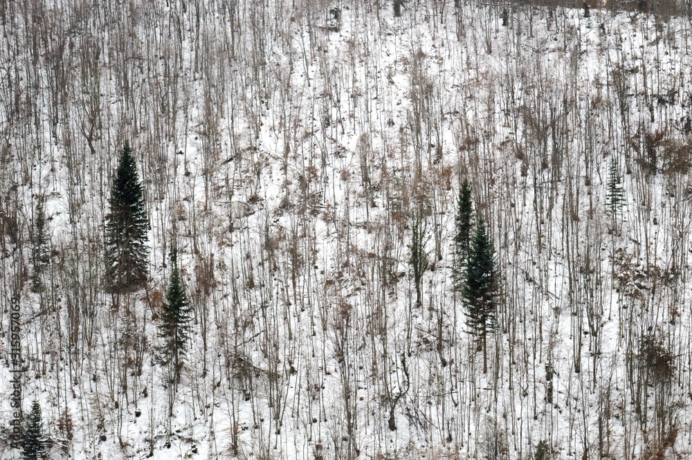 Obraz premium winter mountain landscape with snow