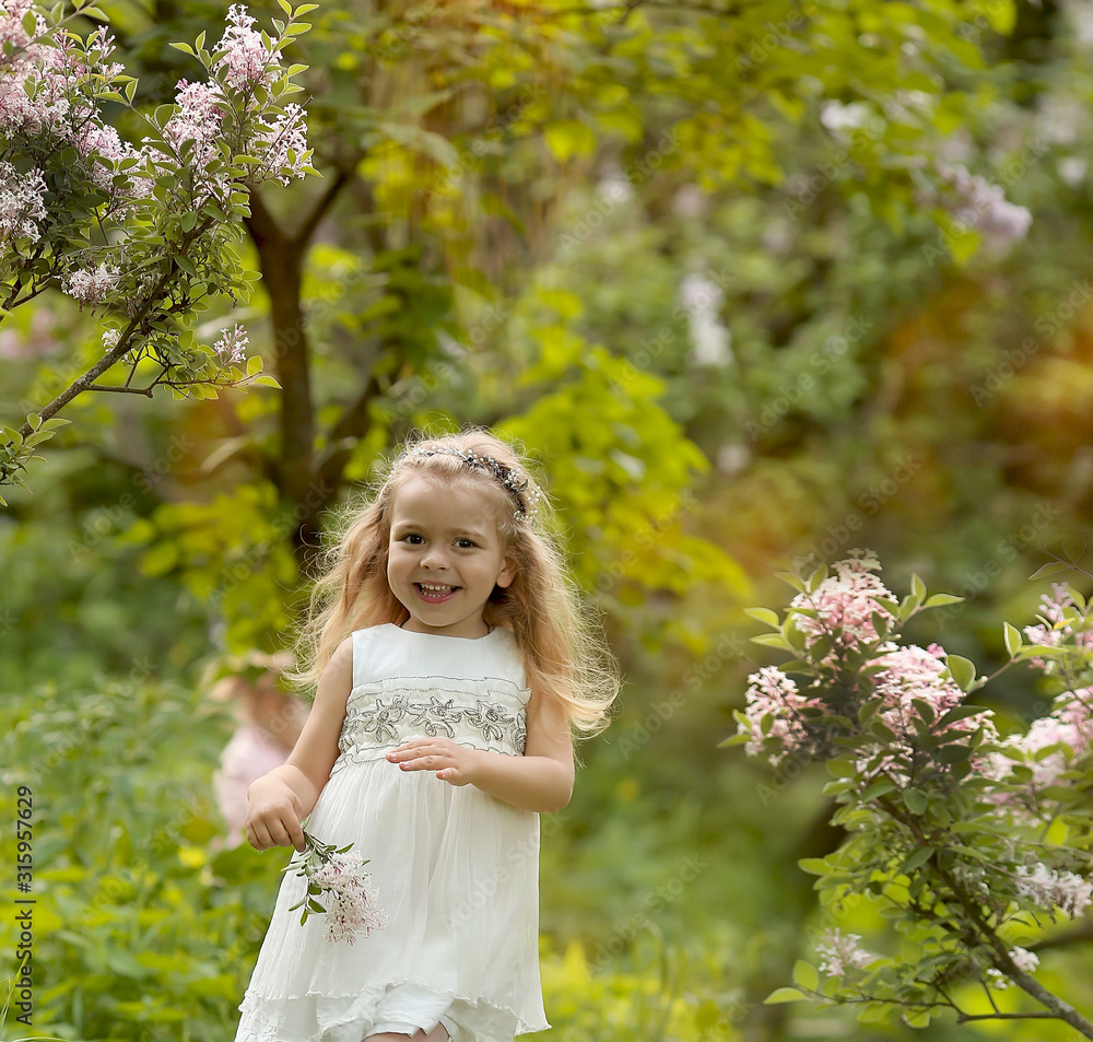 little girl in a white dress walks in the spring botanical garden where lilac blossoms little girl in a white dress walks in the spring botanical garden where lilac blossoms