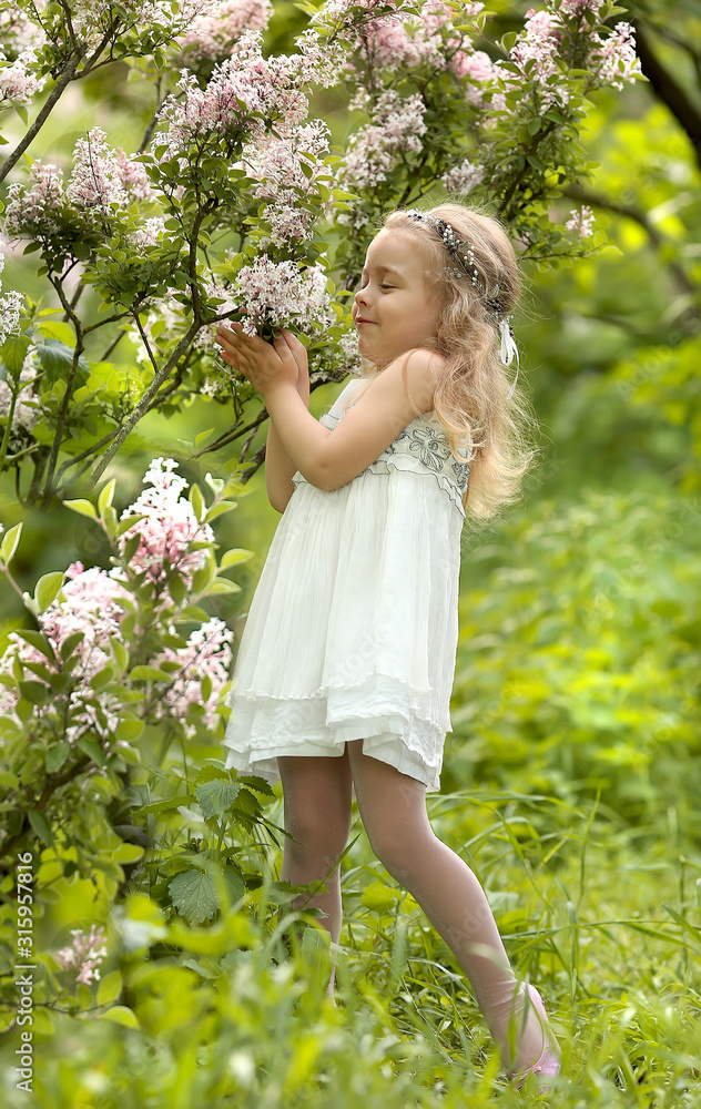 little girl in a white dress walks in the spring botanical garden where lilac blossoms little girl in a white dress walks in the spring botanical garden where lilac blossoms