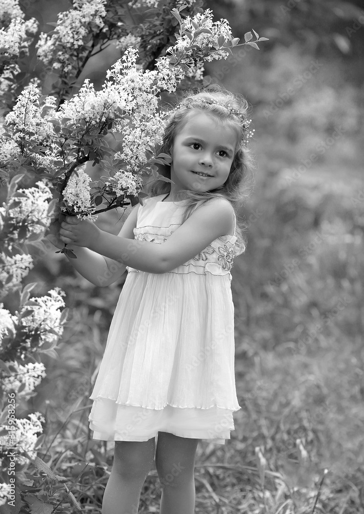 little girl in a white dress walks in the spring botanical garden where lilac blossoms little girl in a white dress walks in the spring botanical garden where lilac blossoms