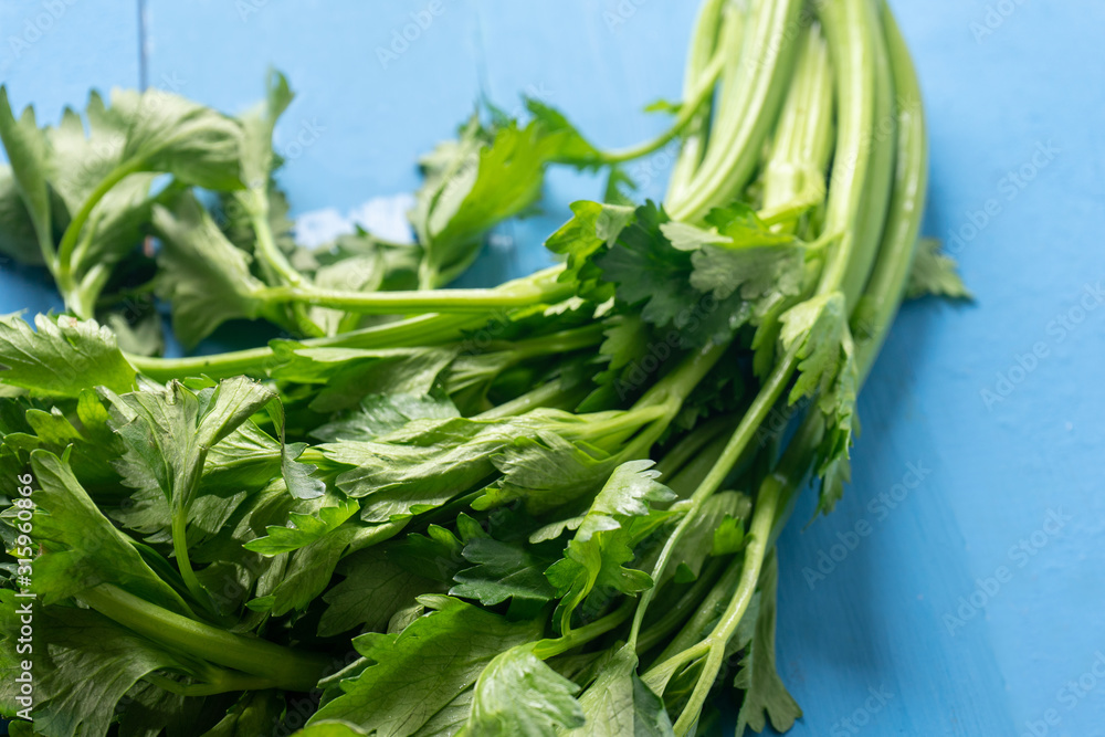 Celery branch on blue background Celery branch on blue background