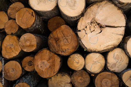 a stack of logs with alder trees; a view of the various ends of the logs in the stack; brown logs