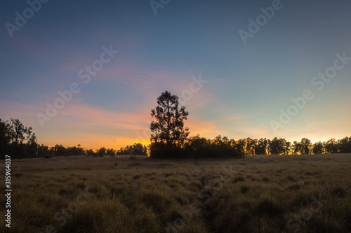 A beautiful sunrise on Savanna Cikasur. Mount Argapura is an inactive volcano complex in East Java, Indonesia. Mount Argapura has the longest climbing track in Java, the distance is around 63km total. photo