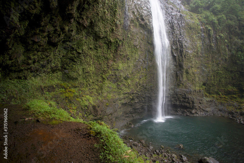 waterfall in forest