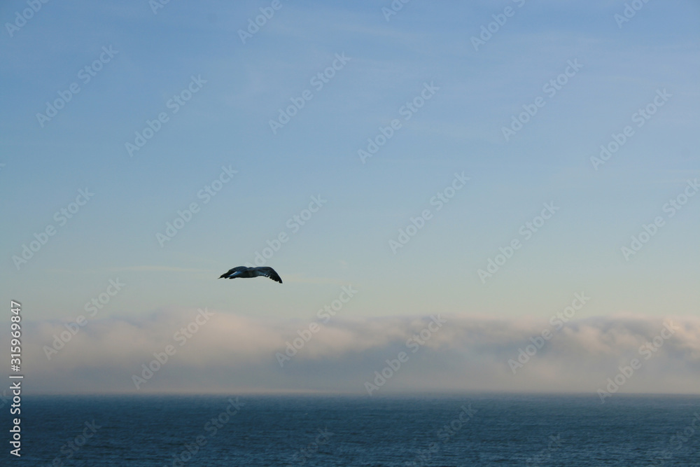 Seascape at sunset. Black Sea waters at sunset Seascape at sunset. Black Sea waters at sunset