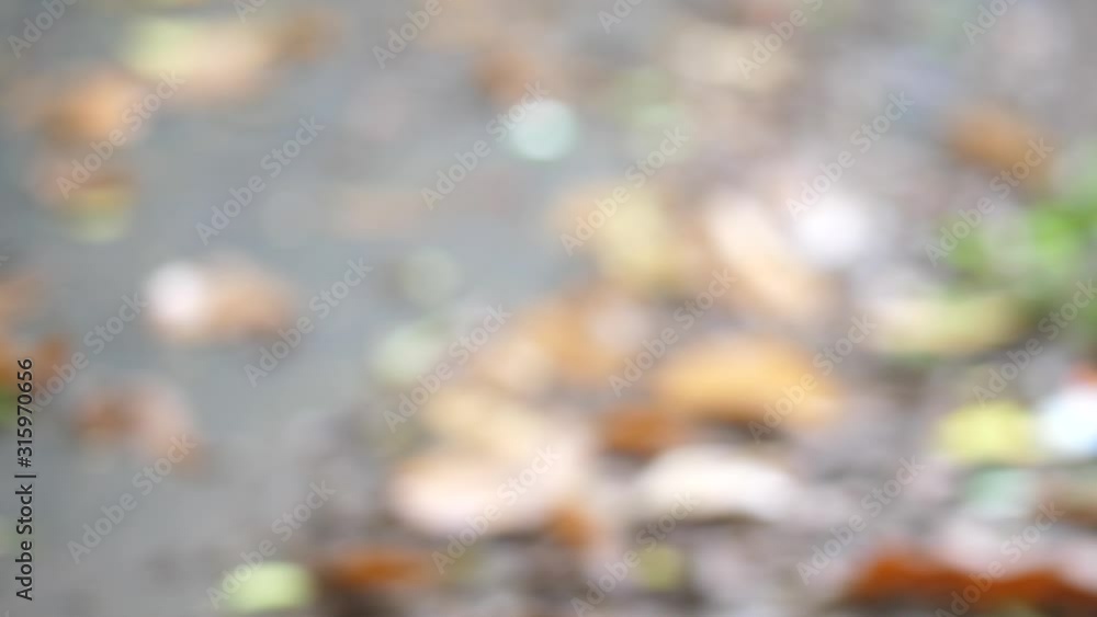 A close up of a shoe on a peg, switching into gear from neutral and driving away A close up of a shoe on a peg, switching into gear from neutral and driving away