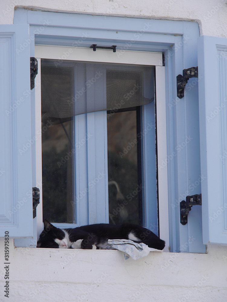 Cat sleeping on the windowsill, Emporio village, Santorini island,Greece.