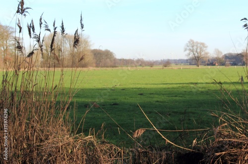 Weites grünes Land