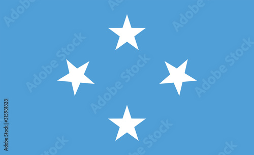 Micronesia flag. Simple vector. National flag of Micronesia 