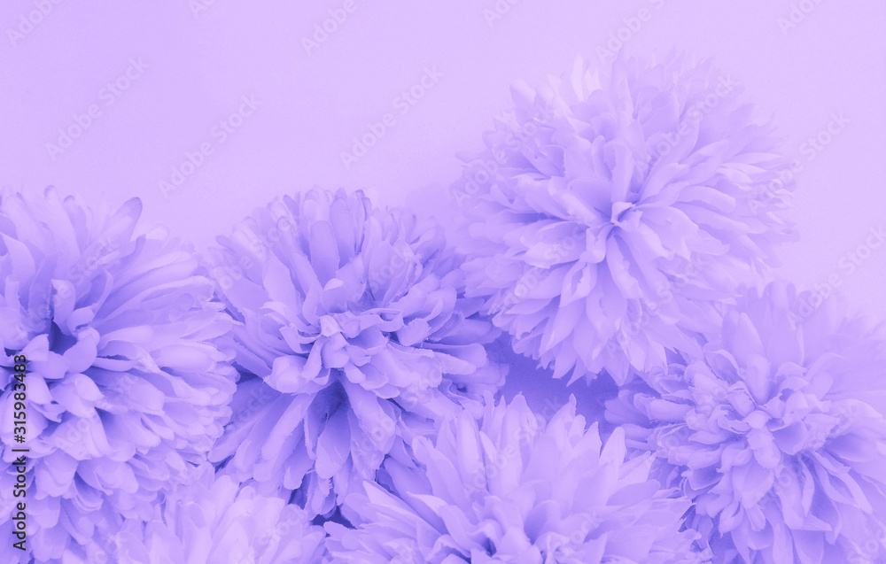Beautiful abstract color blue and purple flowers on white background and blue flower frame and pink leaves texture, light purple background, colorful banner happy valentine Beautiful abstract color blue and purple flowers on white background and blue flower frame and pink leaves texture, light purple background, colorful banner happy valentine