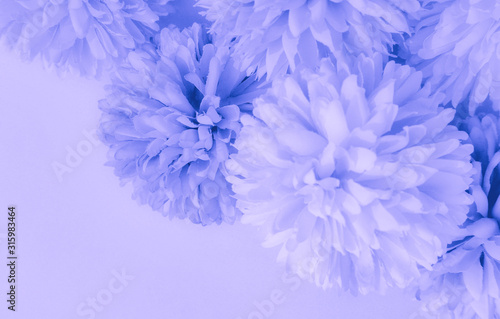 Beautiful abstract color blue and purple flowers on white background and blue flower frame and pink leaves texture  light purple background  colorful banner happy valentine