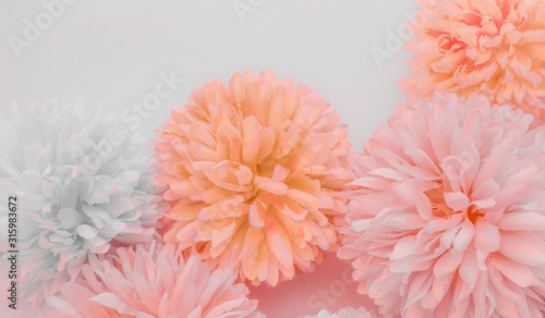Beautiful abstract color purple and pink flowers on white background and orange flower frame and light pink leaves texture, white background, colorful banner happy valentine